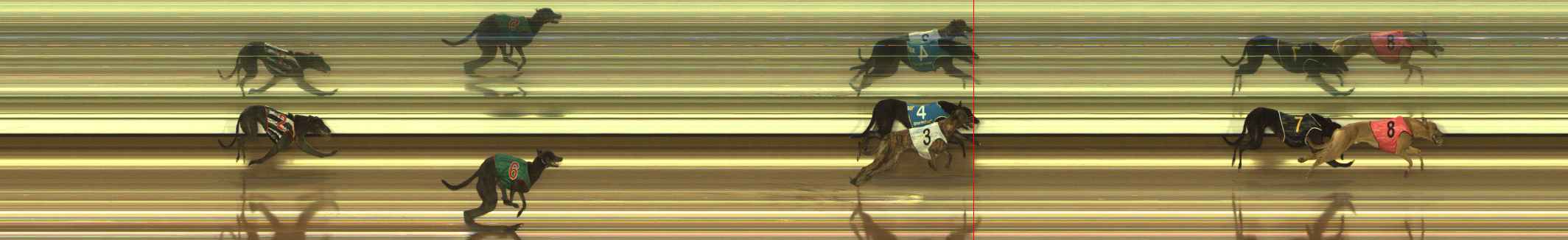 Race result finish photo